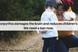 EFSA, sul pesticida Chlorpyrifos, attacco al cervello: “Effetti genotossici e neurologici sullo sviluppo nei bambini”