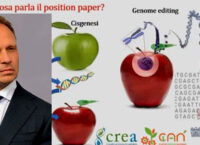 Il governo Meloni sdogana le piante modificate geneticamente? European Consumers APS : “Lollobrigida chiarisca”